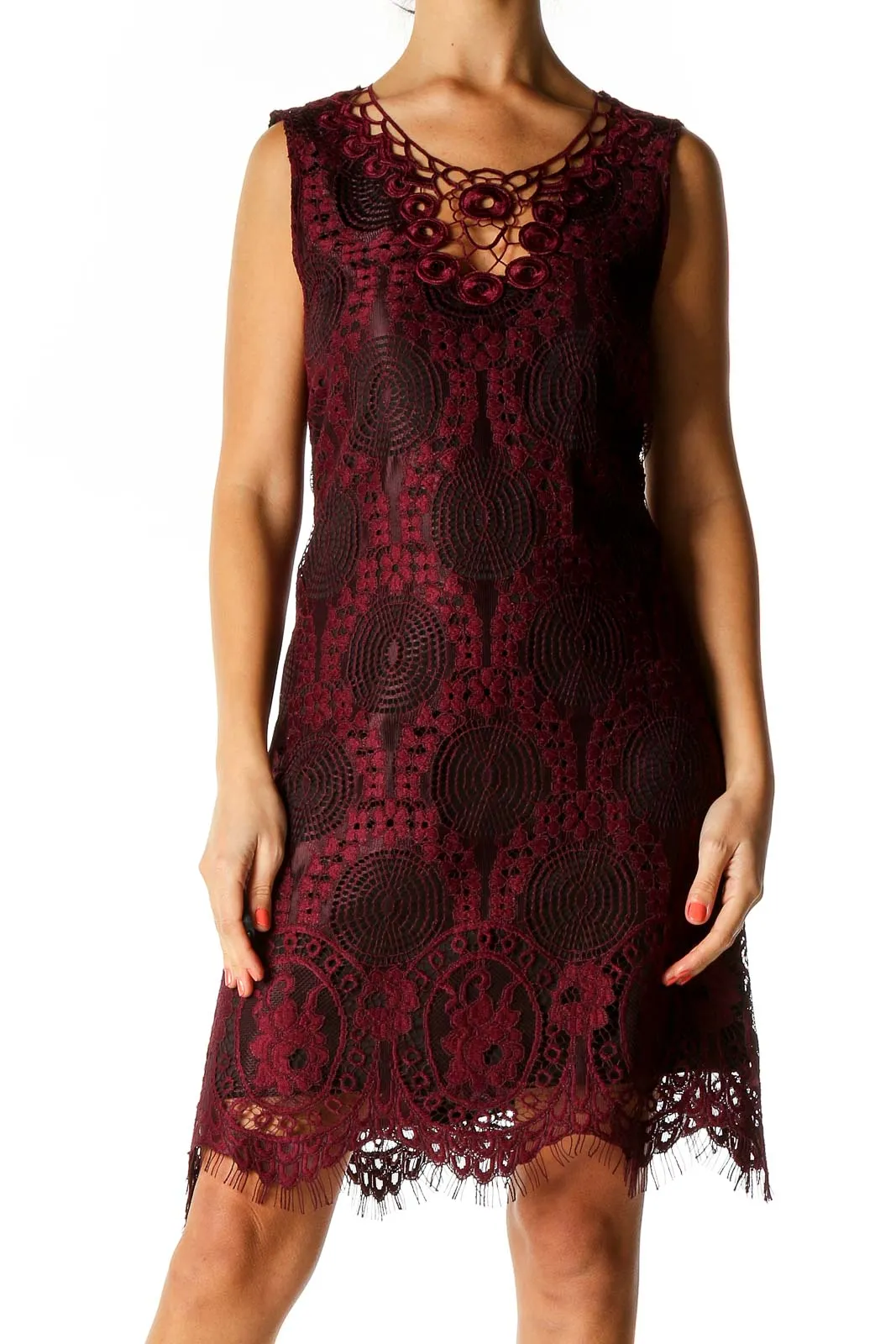 Brown Lace Day A-Line Dress